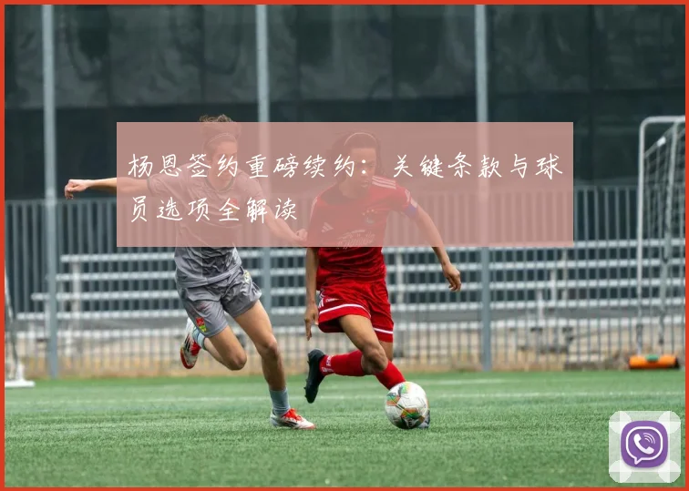 杨恩签约重磅续约：关键条款与球员选项全解读