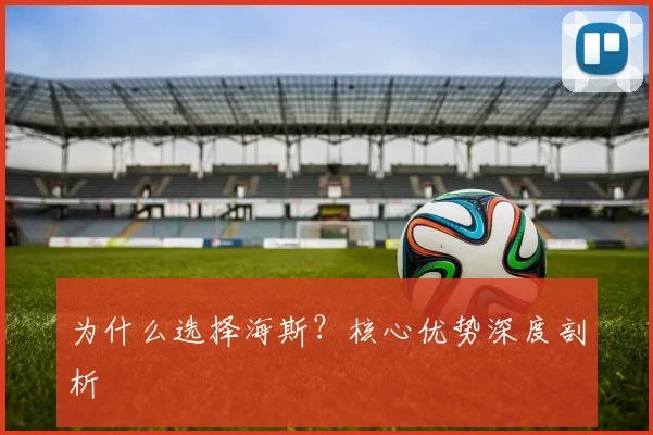 为什么选择海斯?核心优势深度剖析